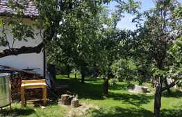 Casa individuala de vanzare, 107 mp utili, 700 mp teren