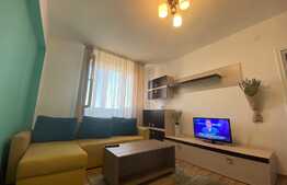 Apartament cu 2 camere, recent renovat, 45mp, Zona UBB Litere