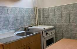 Apartament cu o camera, 32 mp, zona strazii Parang