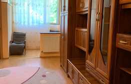 Apartament cu o camera, 32 mp, zona strazii Parang