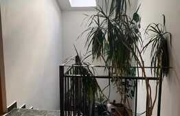 Casa individuala de 200 mp, teren de 678 mp! Zona strazii Somesului!