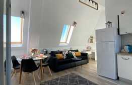 Apartament 2 camere, 50 mp, parcare, curte, zona strazii Corneliu Coposu