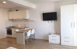 Apartament tip studio, 30mo, balcon, parcare, zona strazii P.Hasdeu