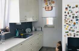 Casa individuala finisata si mobilata la cheie