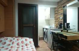 Cauti un spatiu pentru investitie in Marasti? 