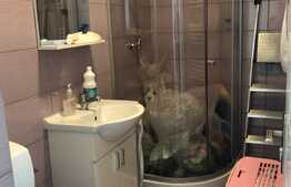 Apartament 3 camere, mobilat si utilat, 61 mp, etaj intermediar, zona strazii Oasului