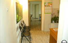 Vanzare 3 camere, etaj intermediar, renovat