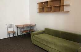 Garsoniera decomandata, 30 mp, recent renovata, zona Detunata