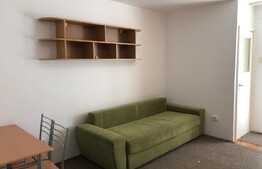 Garsoniera decomandata, 30 mp, recent renovata, zona Detunata