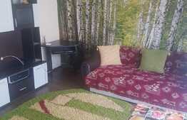 Apartament 2 camere, 40 mp, zona Stejarului