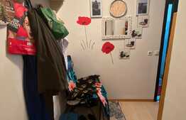 Apartament cu 2 camere, 44 mp, parcare, zona Sesul de Sus