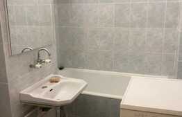 Garsoniera decomandata, 28 mp, zona Pietei Flora