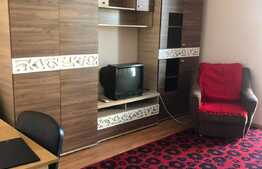 Garsoniera decomandata, 28 mp, zona Pietei Flora