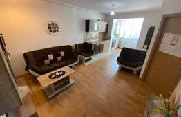 Apartament cu 2 camere, 40 mp, mobilat utilat, zona Florilor
