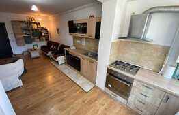 Apartament cu 2 camere, 40 mp, mobilat utilat, zona Florilor