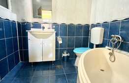 Casa cu 4 camere, 150 mp, curte, 2 parcari, zona strazii Traian Vuia 