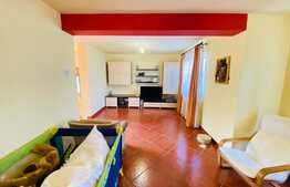 Casa cu 4 camere, 150 mp, curte, 2 parcari, zona strazii Traian Vuia 