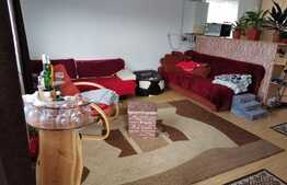 Apartament 2 camere, 55 mp, zona Lidl