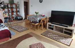 Apartament 2 camere, 55 mp, zona Lidl