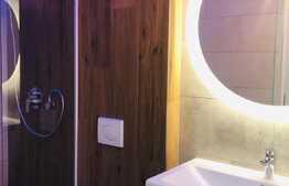 Apartament 2 camere in zona centrala, ideal pentru investitie 