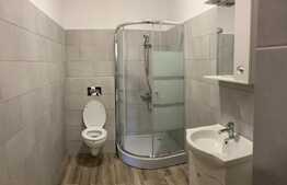 Birou Ultracentral, 100 mp, cladire istorica