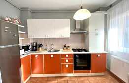 Apartament 2 camere, mobilat LUX ,60 mp, alarma, loc de parcare,zona strazii obsevatorului , Zorilor