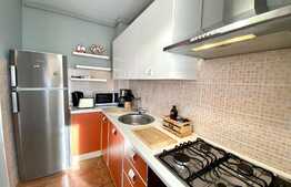 Apartament 2 camere, mobilat LUX ,60 mp, alarma, loc de parcare,zona strazii obsevatorului , Zorilor