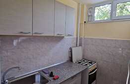 Garsoniera de inchiriat, 28 mp, zona Iulius Mall