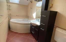 Apartament 2 camere decomandat,  65mp, aer conditionat, parcare,  Zona Florilor