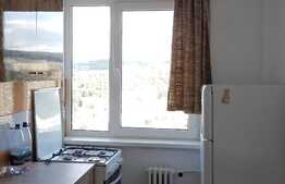 Apartament 2 camere, 47 mp, zona strazii Alexandru Vlahuta