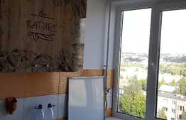 Apartament 2 camere, 47 mp, zona strazii Alexandru Vlahuta