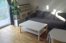 Apartament 2 camere, 54 mp, zona Stejarului