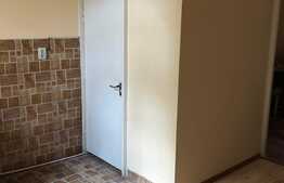 Apartament cu o camera, 48 mp, zona strazii Republicii