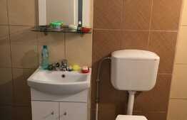 Apartament cu o camera, 48 mp, zona strazii Republicii