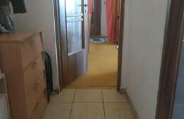 Apartament de vanzare 2 camere, zona Big!