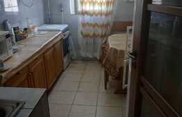 Apartament de vanzare 2 camere, zona Big!