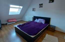 Apartament 2 camere, 36 mp., preluare chiriasi, zona Porii