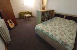 Apartament 1 camera, decomandat, 35 mp, zona strazii Bizusa