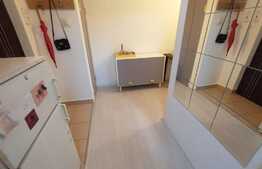 Apartament 1 camera, decomandat, 35 mp, zona strazii Bizusa