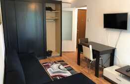 Garsoniera decomandata, 28 mp, recent renovata, zona UMF