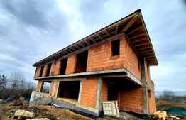 Casa tip duplex 193 mp,300mp teren,zona linistita in Borhanci 