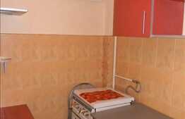 Apartament cu 1 camera de vanzare in zona BIG, 28 mp utili