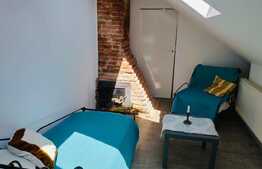 Apartament 2 camere, ultracentral, ideal pentru investitie 