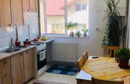 Apartament 2 camere, 55 mp, in cartierul Buna Ziua 