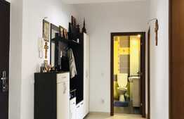 Apartament 2 camere, 55 mp, in cartierul Buna Ziua 