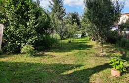 De vanzare casa in calcan renovabila, 80 mp utili, 527 mp teren, in Baciu