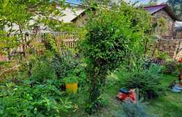 De vanzare casa in calcan renovabila, 80 mp utili, 527 mp teren, in Baciu