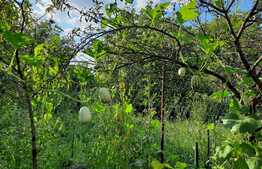 De vanzare casa in calcan renovabila, 80 mp utili, 527 mp teren, in Baciu