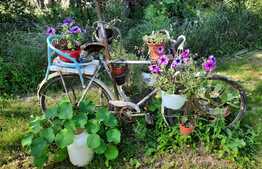 De vanzare casa in calcan renovabila, 80 mp utili, 527 mp teren, in Baciu