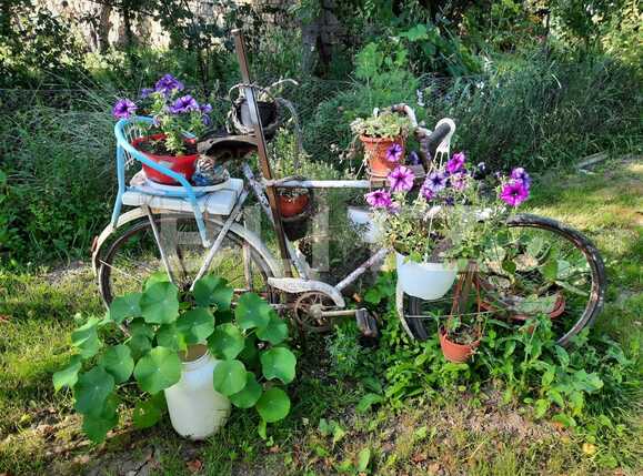 Casa de vânzare 2 camere Baciu - 53633CV | BLITZ Cluj-Napoca | Poza6